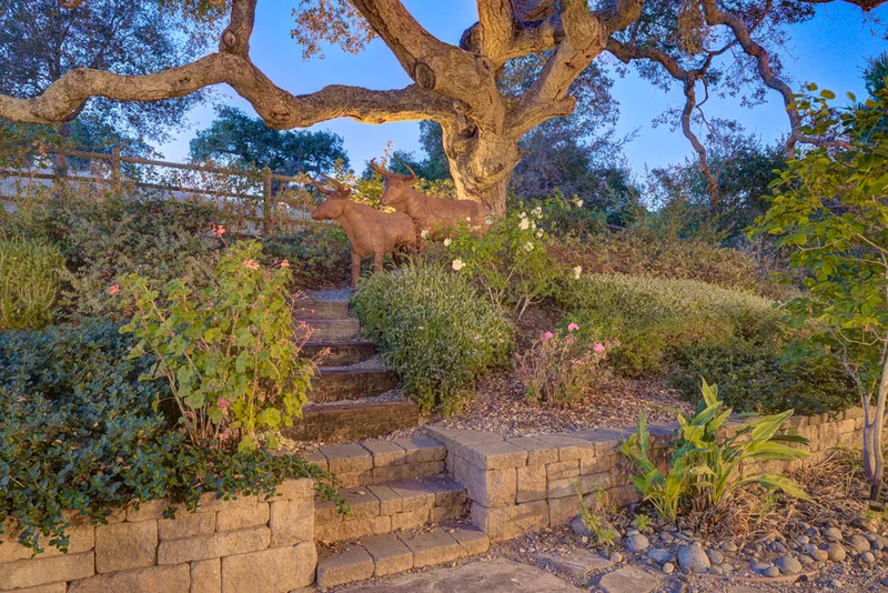 Illuminated garden path beneath a mature oak tree.